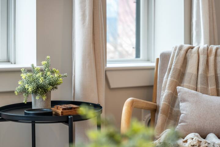 Luxe Penthouse | MIT, Harvard, T & Free parking gallery image 5