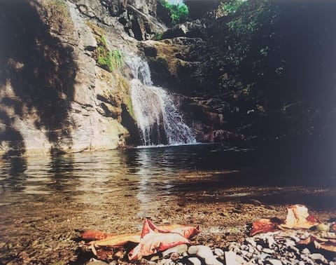 Top Airbnb: Paradiso @ 413 -3 minutes from the beach w/ WiFi in Rincón