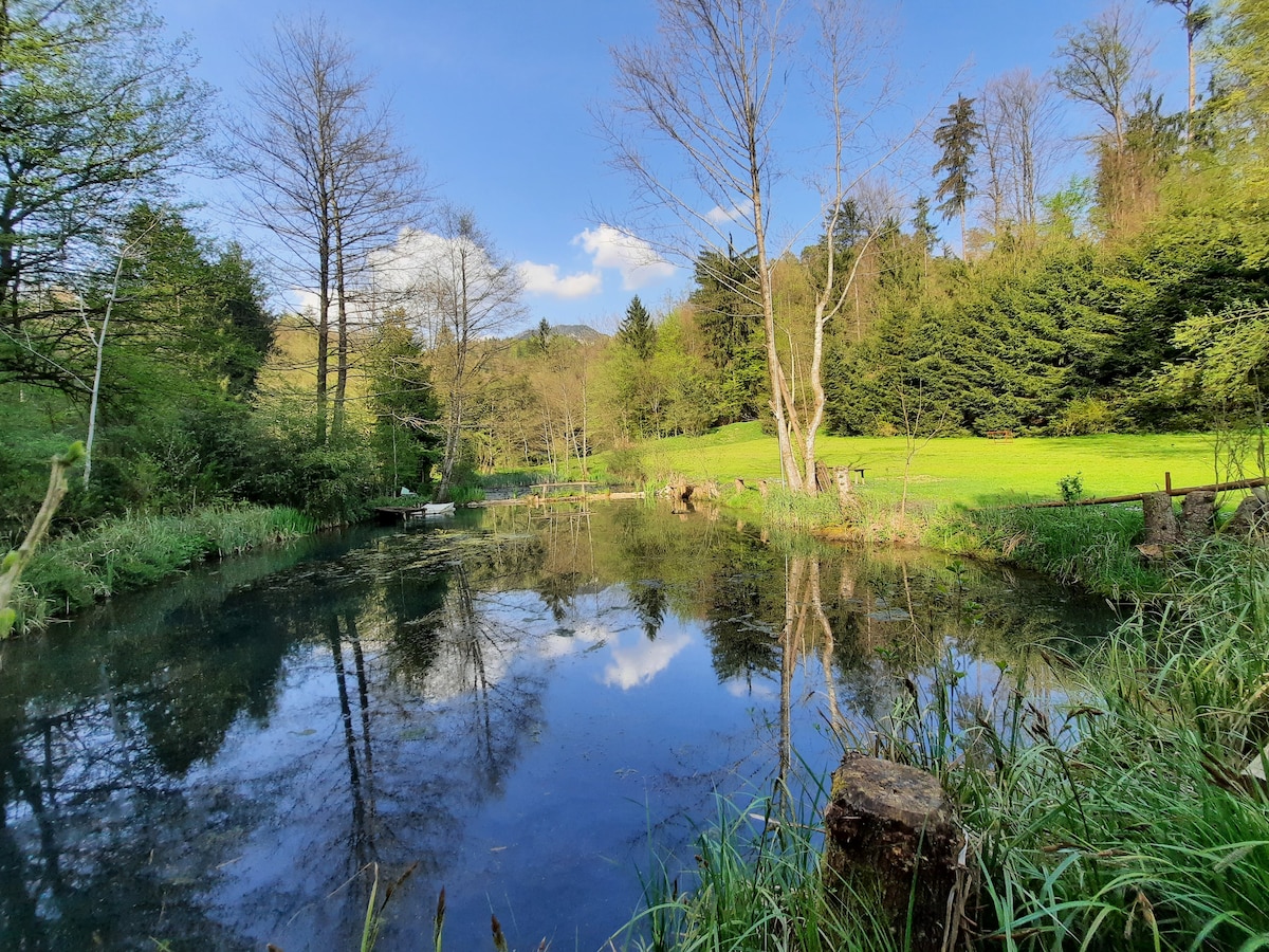 A serene pond surrounded by lush greenery and trees reflects the clear blue sky. The gentle slope of the land is visible alongside the water, enhancing the tranquil setting. Natural light casts a soft glow on the scene, creating a peaceful environment.