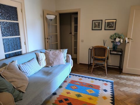 Successful Airbnb property: 30's style apartment: close to EU and Bxl center in Saint Josse Ten Noode Sint Joost Ten Node