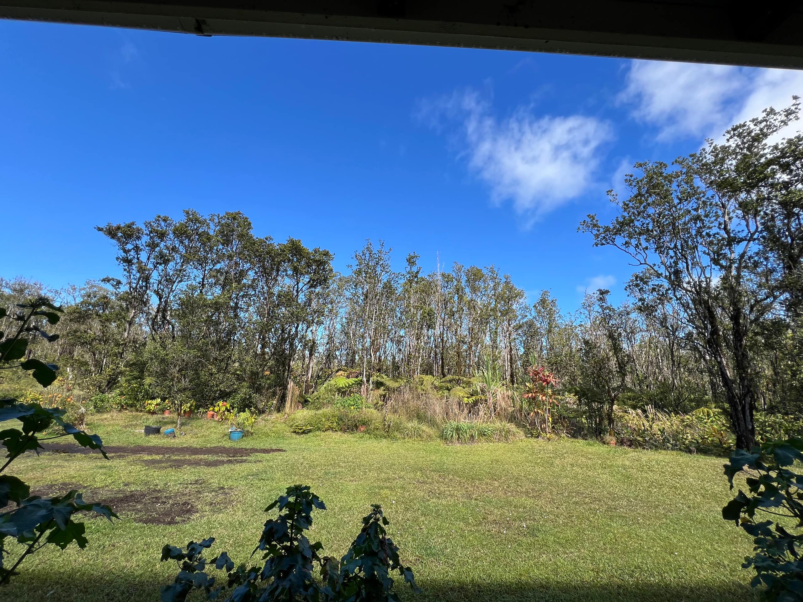 Home in Mountain View · ★5.0 · 1 bedroom · 1 bed · 1 shared bath - Image 15