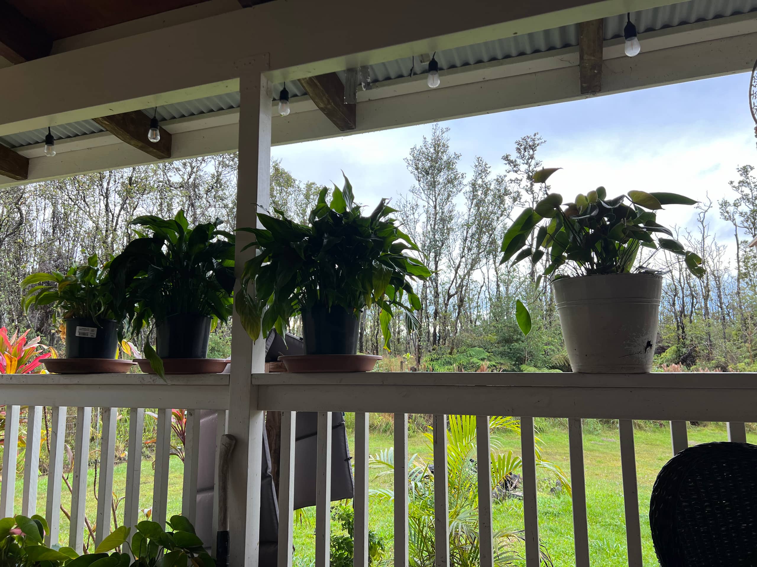 Home in Mountain View · ★5.0 · 1 bedroom · 1 bed · 1 shared bath - Image 14
