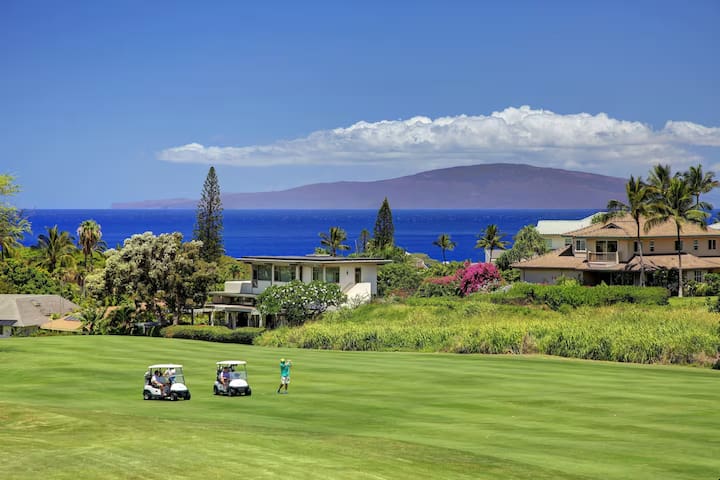 Luxury Oceanview Wailea Retreat with Sunset Views gallery image 2