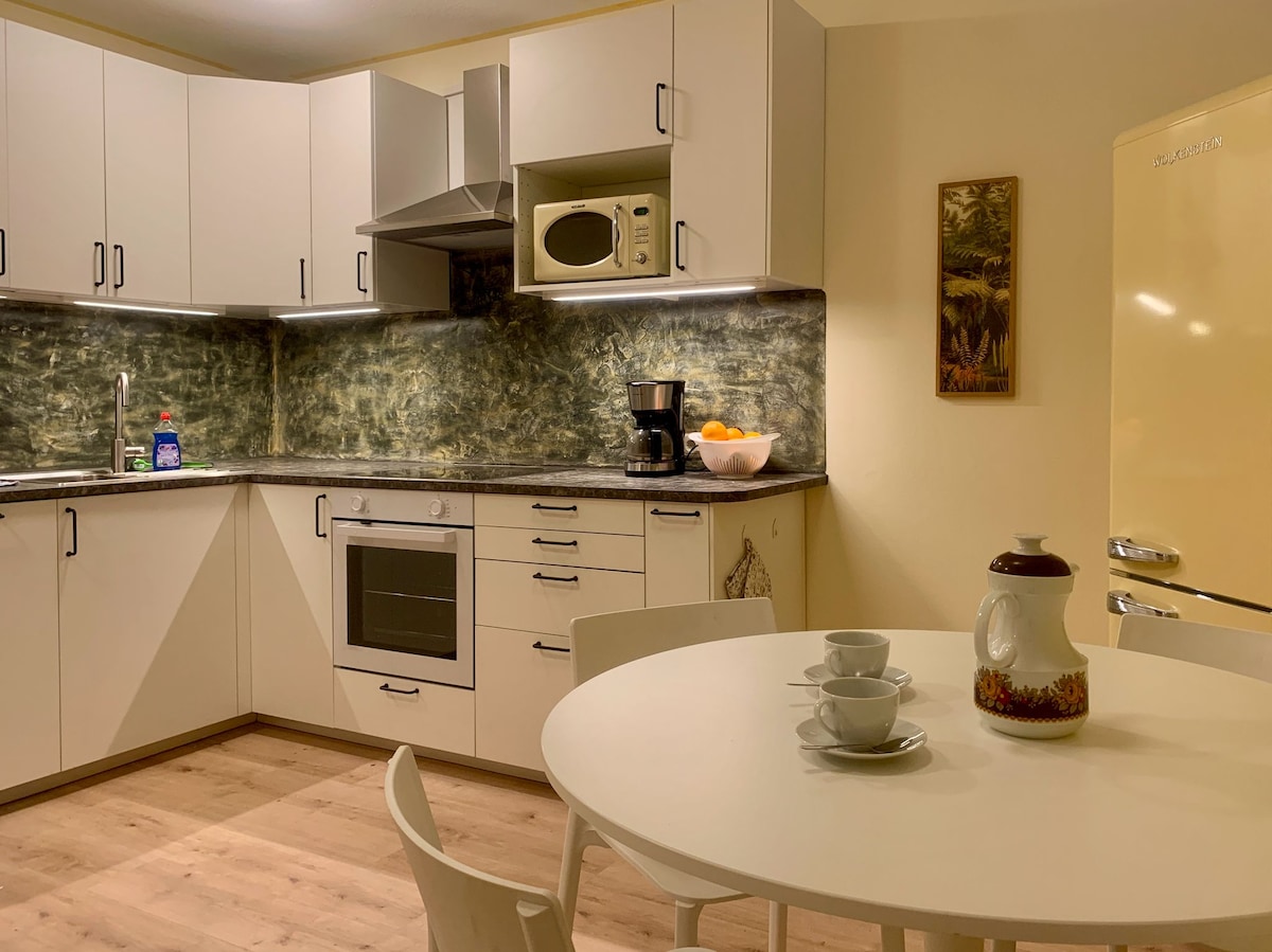 Leistungsstarkes Airbnb: Centrally-located apartment with free parking spot in Obere Au