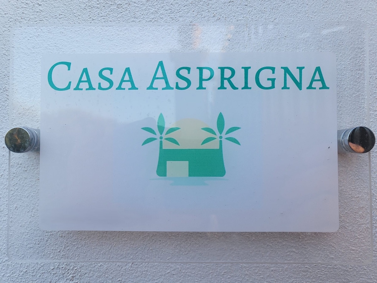 A clear sign displaying the name 'Casa Asprigna' is adhered to a wall. The sign features a simple design with palm tree graphics and a stylized house, presented in a calming turquoise hue against a light background.