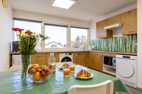The ideal Narossais Island for spa visitors - air conditioning - close to Dax
