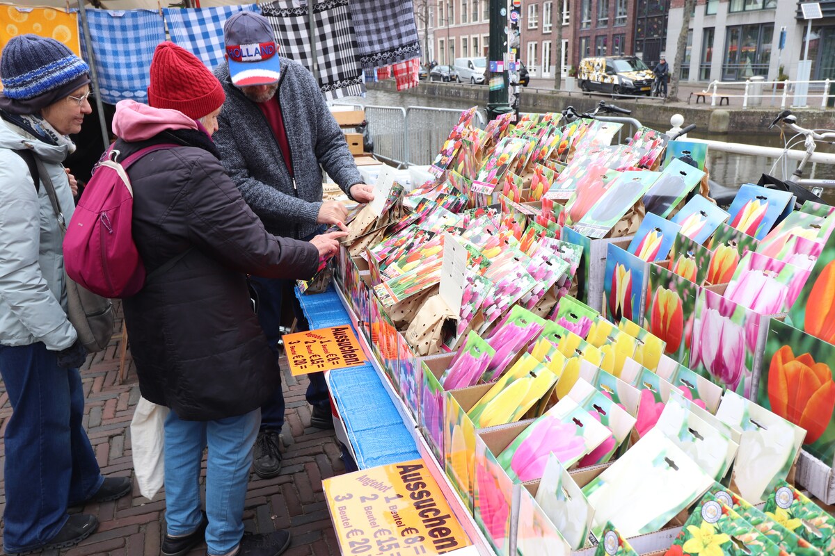 Markt tijdens kaasmarkt in Alkmaar