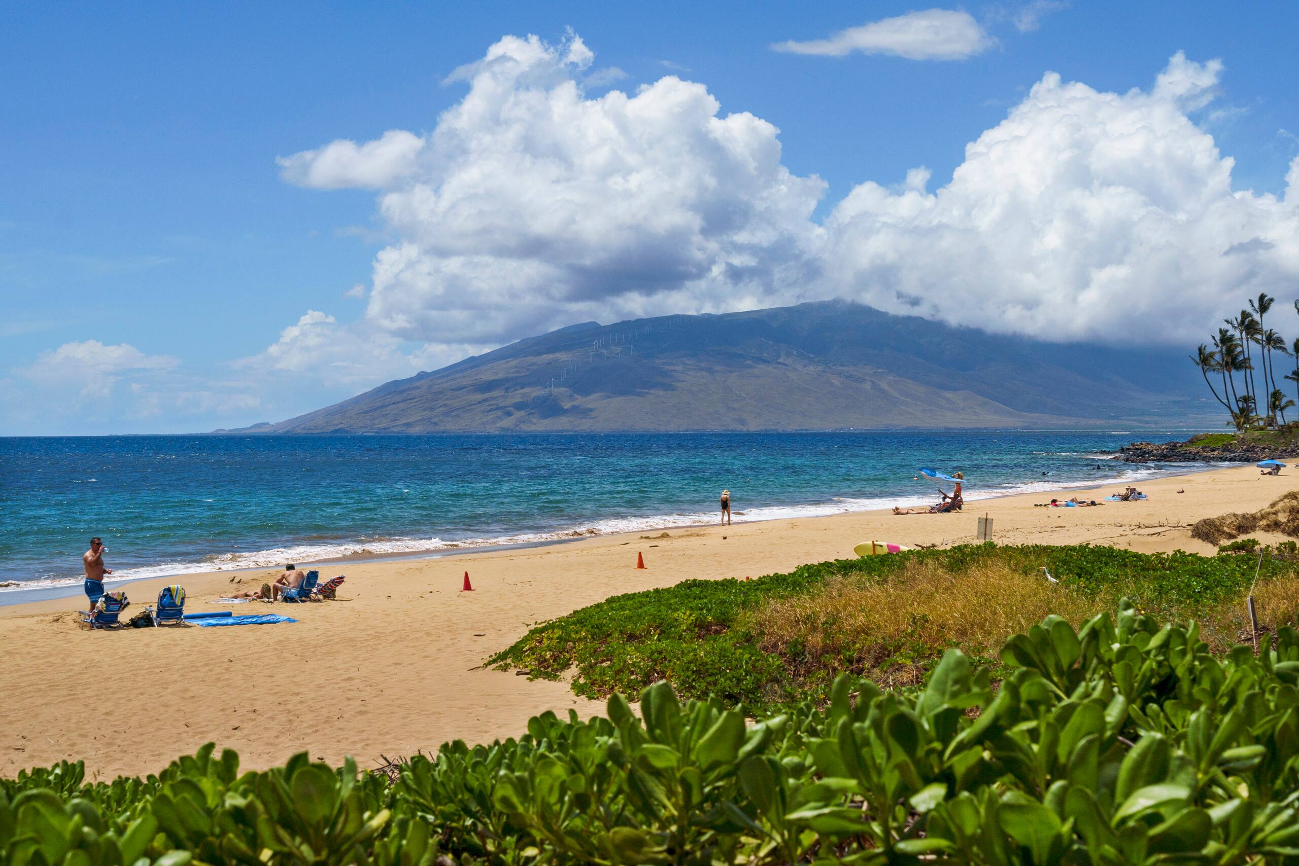 Penthouse Ocean View | Walk to Beach & Restaurants - Image 49