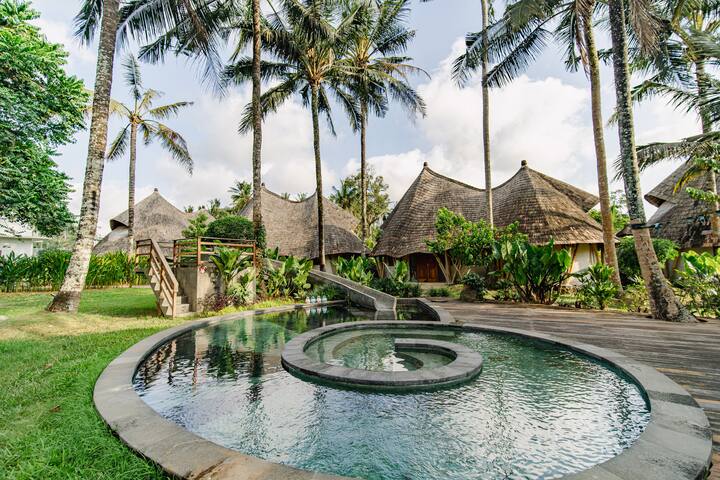 The Onion Co managed Airbnb listing 2