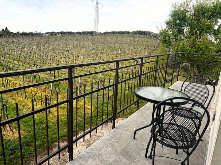 APPARTEMENT :La maison des oliviers - Appartements à louer à Lazise ...