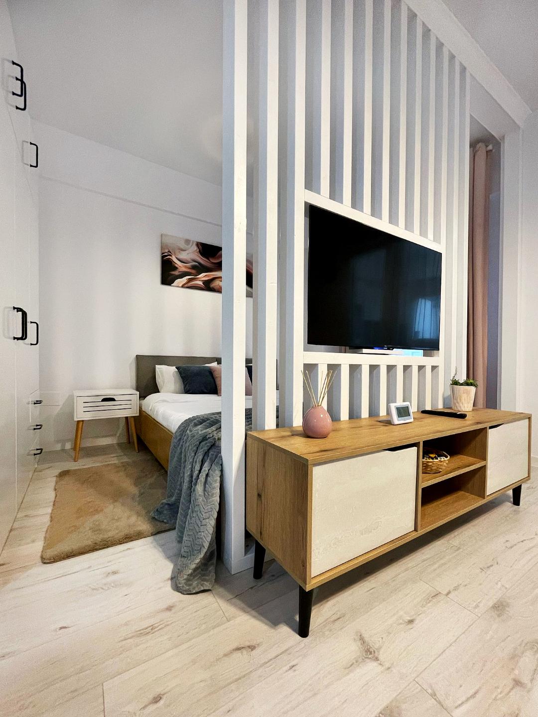 A modern studio layout is presented with a divider, separating the sleeping area from the living space. A spacious bed is visible beyond the divider, while a wooden media console is positioned in front, featuring a television and decorative accents. Soft textiles add warmth to the ambiance.