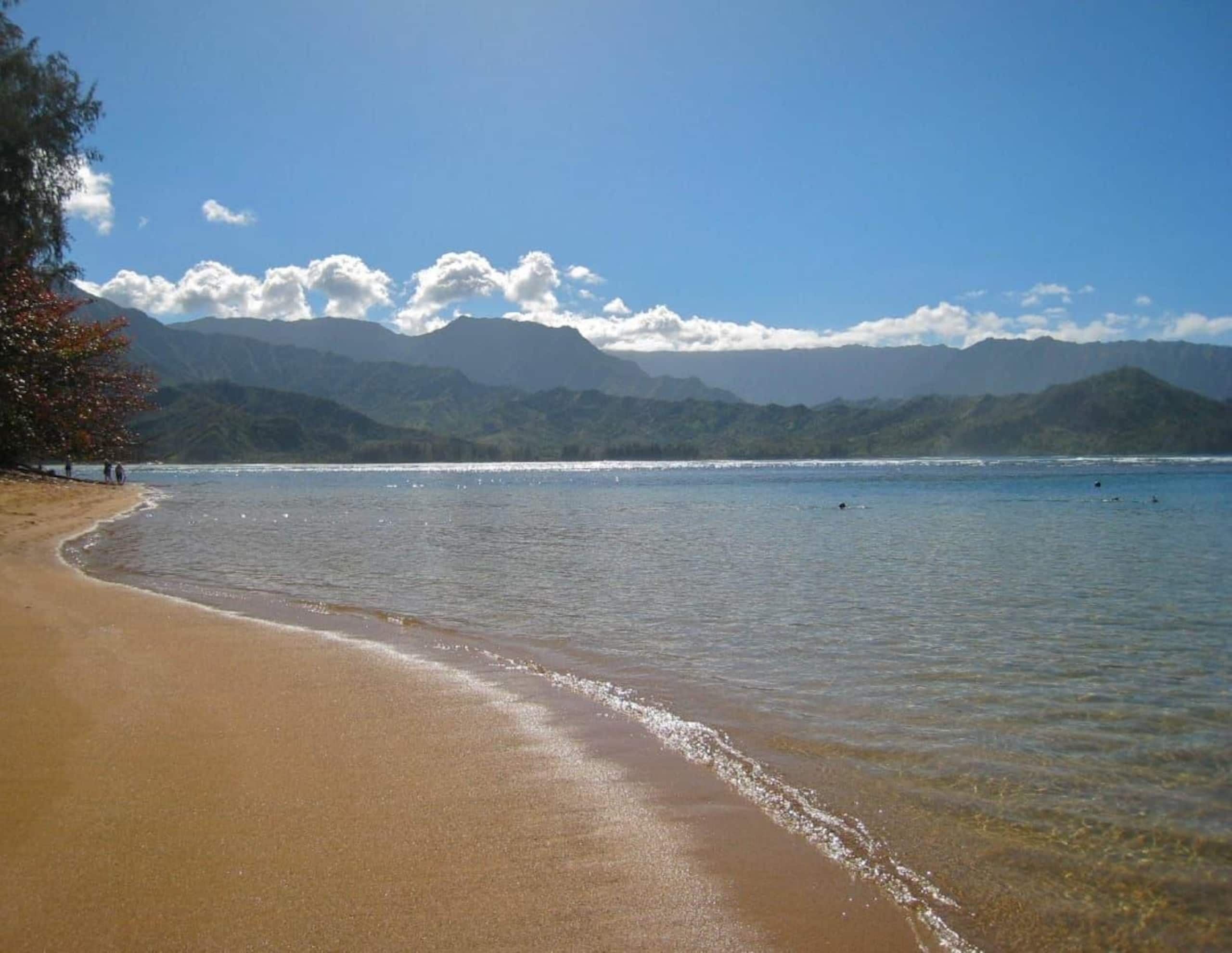 Condo in Princeville · ★4.9 · Studio · 1 bed · 1 bath - Image 14