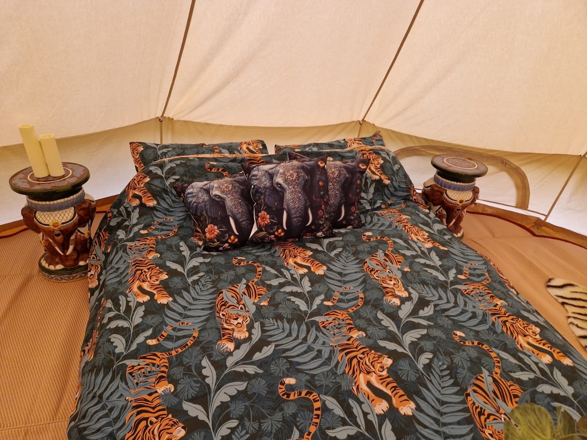 Top Airbnb: Amazon in Northamptonshire