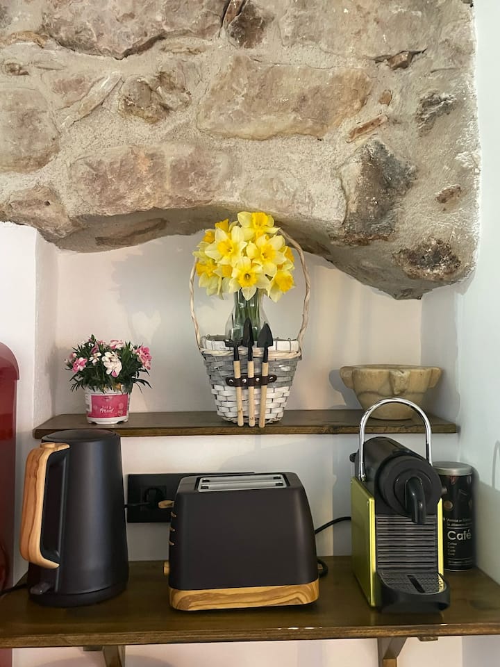 Apartament El Portalet De Can Rialla - Olot