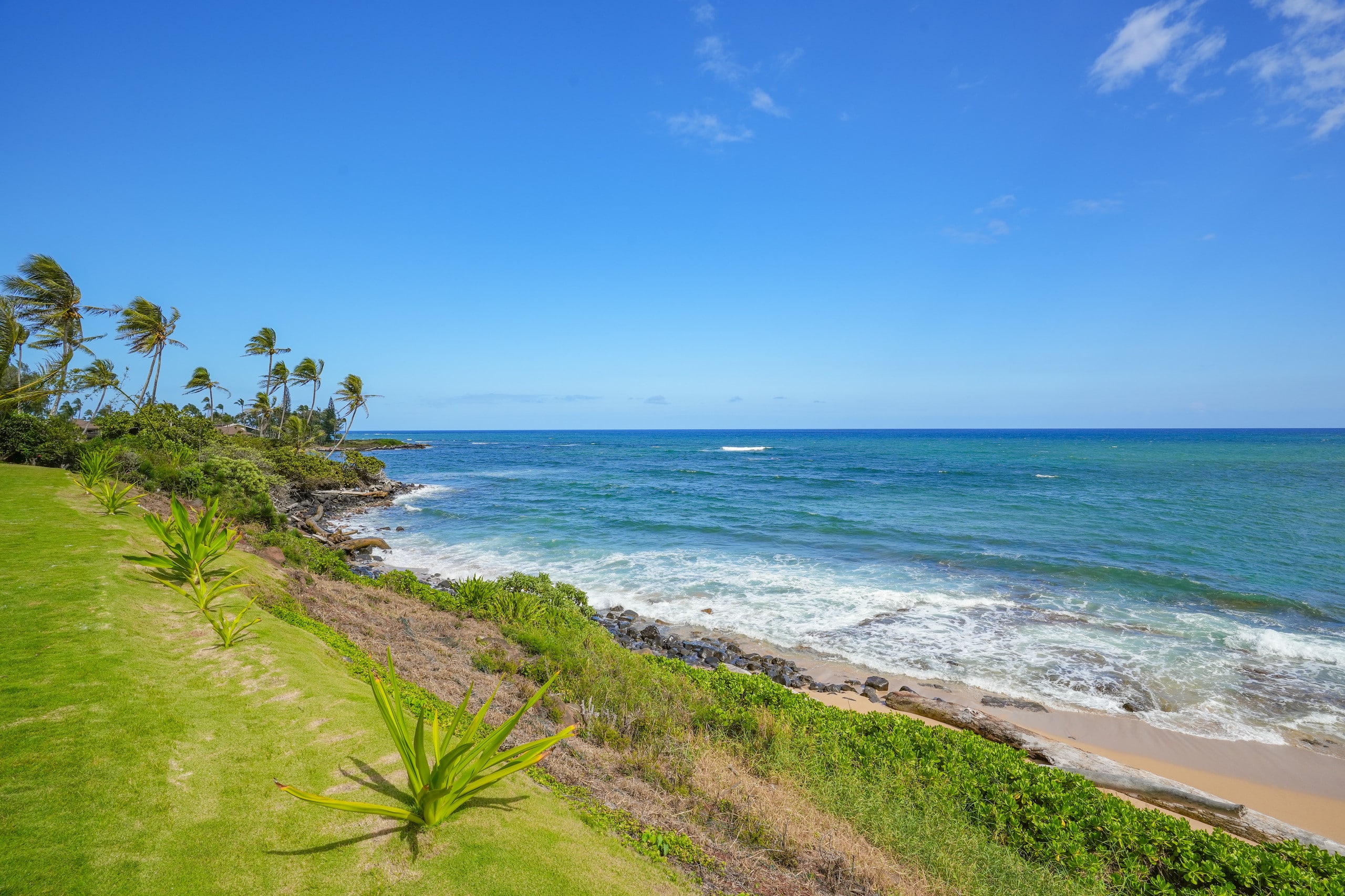 Condo in Kapaa · ★4.94 · 1 bedroom · 1 bed · 1 bath - Image 35
