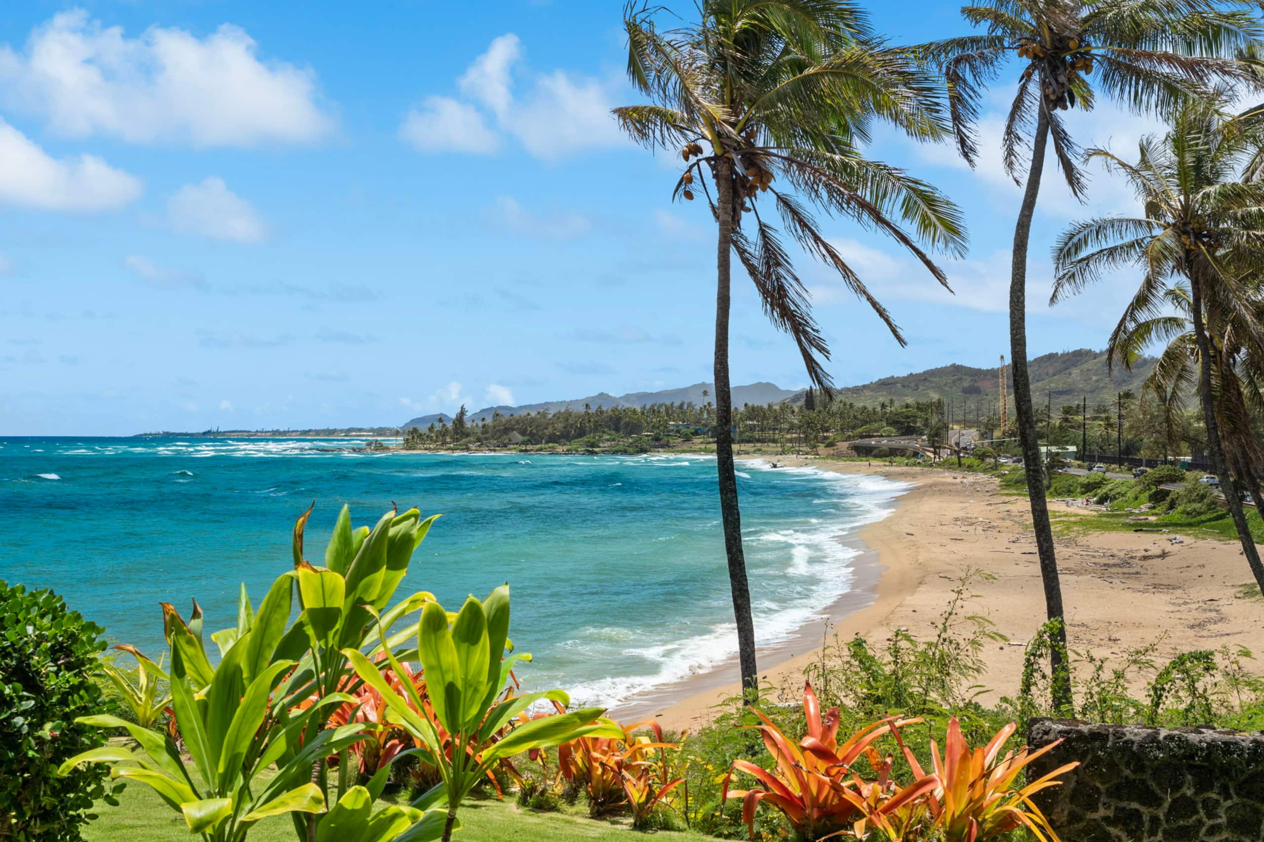 Condo in Kapaa · ★4.94 · 1 bedroom · 1 bed · 1 bath - Image 18