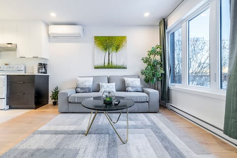 Successful Airbnb property: T3 BR AC | near dt | Free Parking | Quiet in Longueuil
