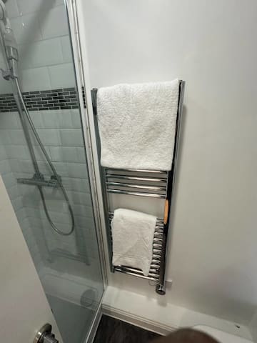 Two Bed Two Bath Oxford Circus Apartment C