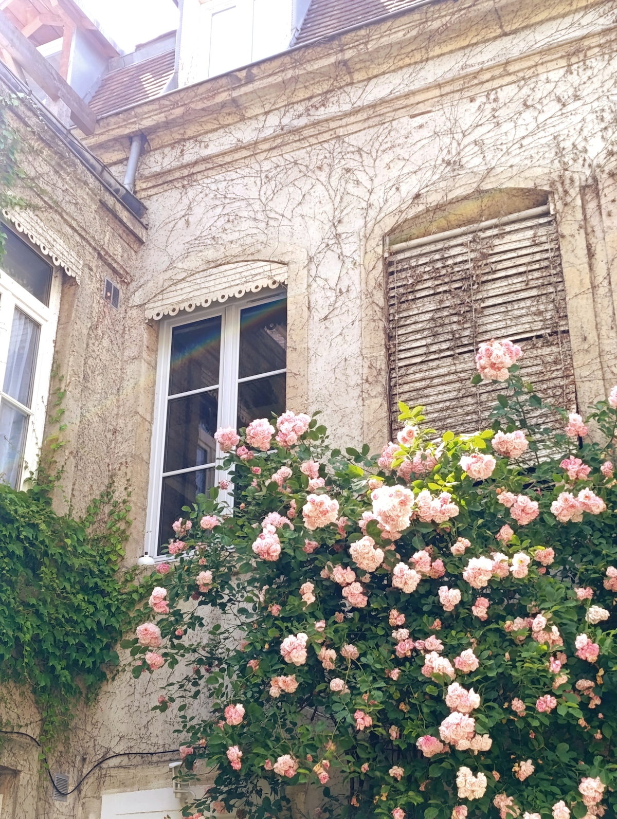 A charming exterior is depicted, featuring a stone wall adorned with climbing vines. Light pink roses bloom prominently near a window with shutters, enhancing the natural beauty of the home. Sunlight casts gentle shadows, adding warmth to the serene setting.