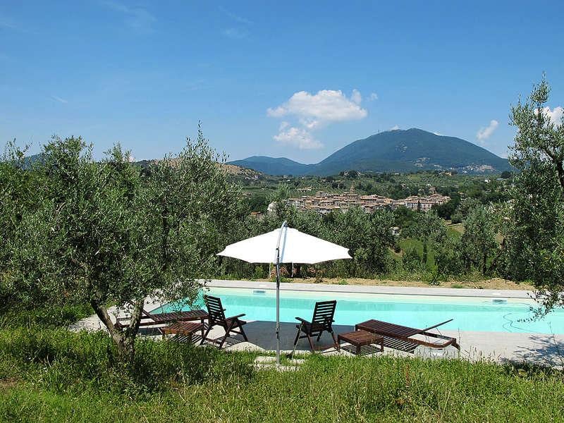 A large pool is surrounded by olive trees, with sun loungers positioned around the edge. A parasol provides shade over some chairs nearby. The distant hills create a scenic backdrop under a clear blue sky.