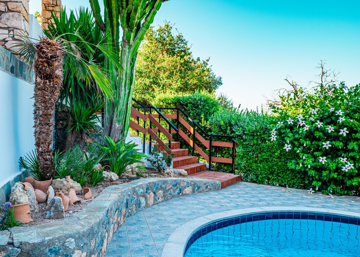 A tranquil outdoor space features a tiled swimming pool surrounded by mature gardens. Lush greenery and decorative plants enhance the setting. A wooden staircase leads up to the villa, bordered by vibrant flowers and foliage, offering a sense of serenity.
