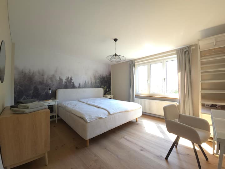 Habitación 1