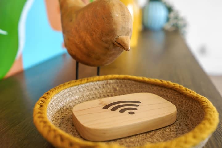 Wifi портир