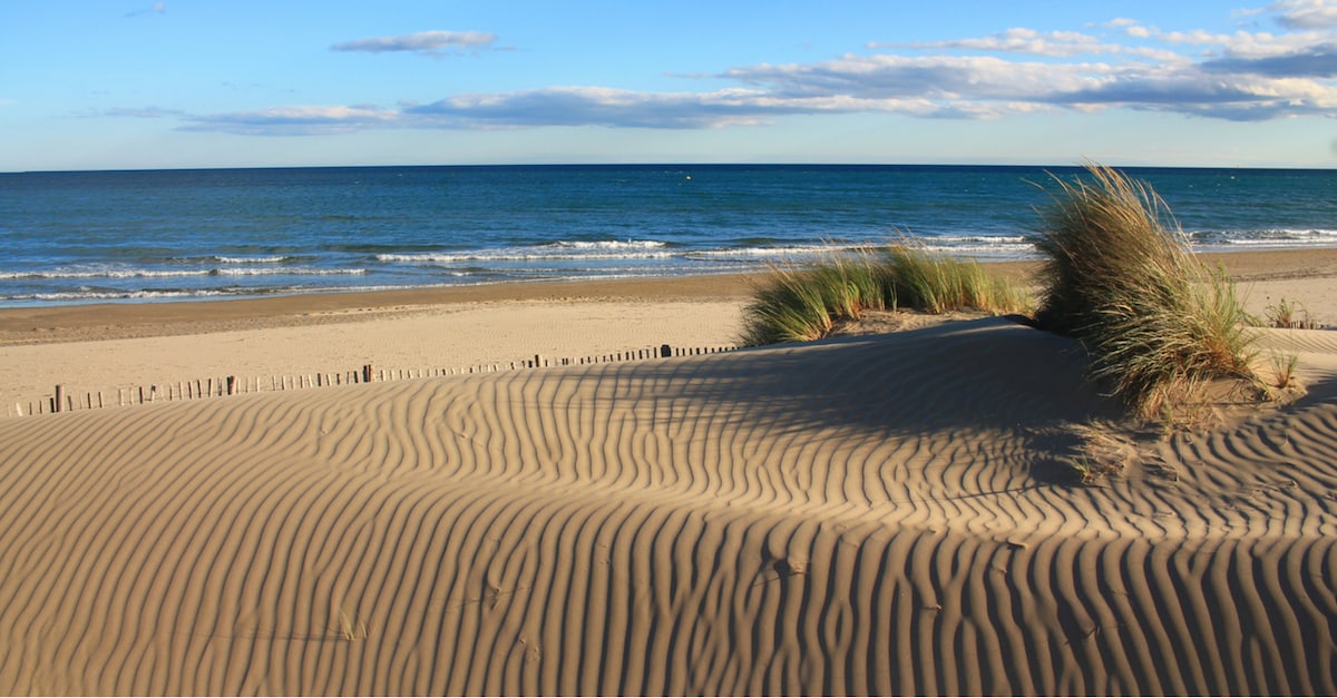 A sandy beach scene is depicted, featuring gentle dunes marked by natural patterns. Grassy tufts are seen emerging from the dunes, while the serene sea stretches out in the background, meeting the sky lined with soft clouds.