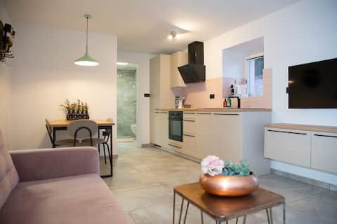 Top performing Airbnb: Kiwi House 2 in Koper