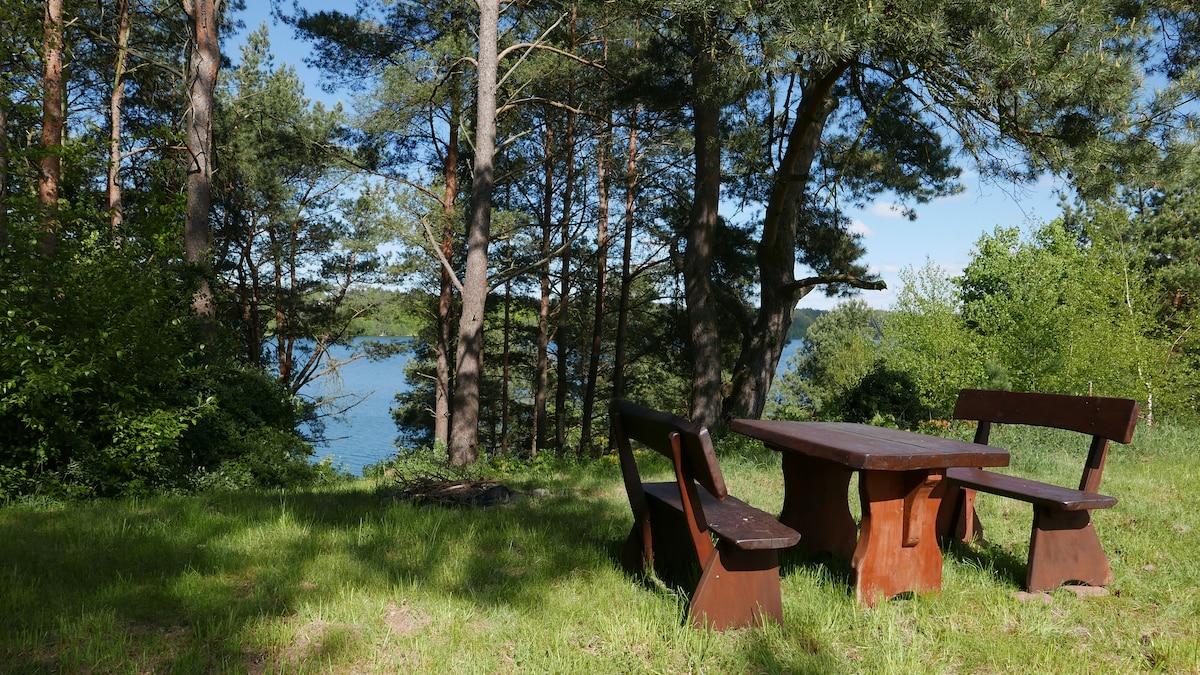 A wooden table with benches is set on a grassy area surrounded by tall trees. In the background, a serene lake is visible, reflecting the blue sky and lush greenery. The scene offers a peaceful outdoor space ideal for relaxation.