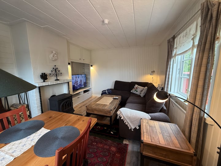 Mysig Stuga Med Gästhus Och Magisk Sjöutsikt - Insjön