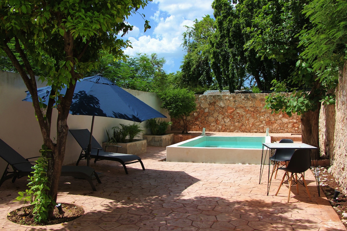 Charming and private with a pool in Mérida Centro - Houses for Rent in ...