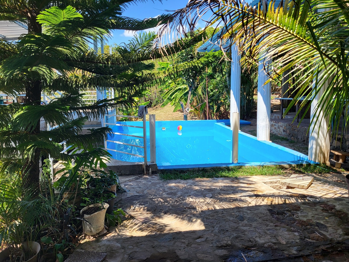 A refreshing blue pool is framed by lush green plants and palm trees, creating a serene outdoor space. The pool area is accented by natural stone flooring, and colorful floats can be seen floating in the water, inviting relaxation and leisure.
