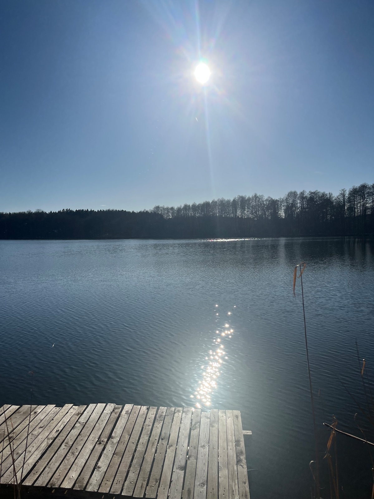 A calm lake is depicted under a bright sun, creating shimmering reflections on the water's surface. Trees are visible along the shoreline, and a wooden dock extends into the lake, enhancing the serene natural setting.
