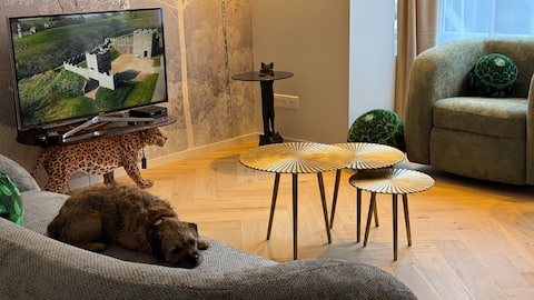 Top Airbnb: Luxury Villa - Seaside - Downtown Art Deco Style in Le Touquet Paris Plage
