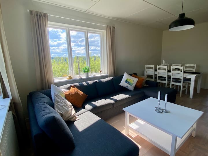 Cosy Home, Close To Romme Alpin, Sauna & Gym - Säter