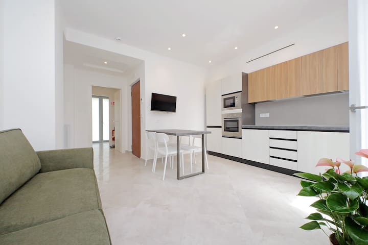 Silvery Apartment Aqua Paola close to Vatican