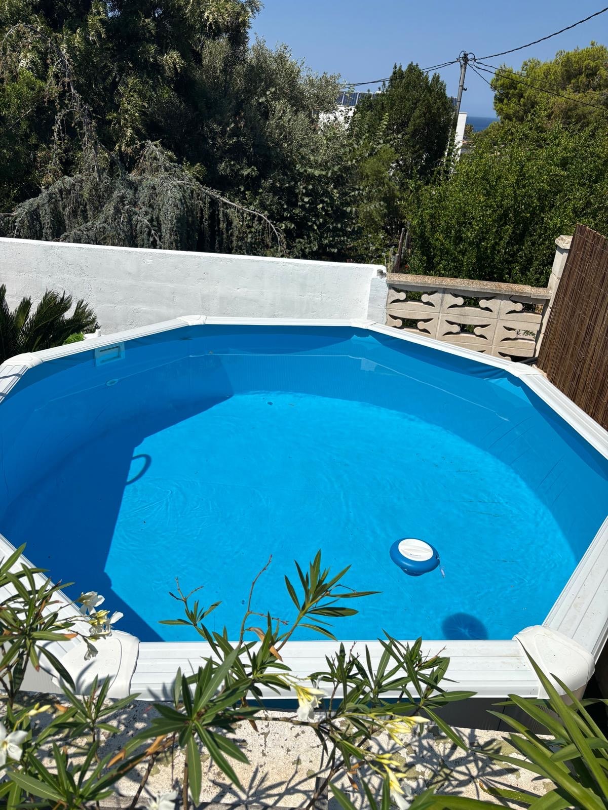 An octagonal swimming pool is framed by a low white wall and surrounded by lush greenery. The clear blue water reflects sunlight, creating a refreshing focal point. Visible pool accessories are present, ensuring a well-maintained and inviting swimming area.
