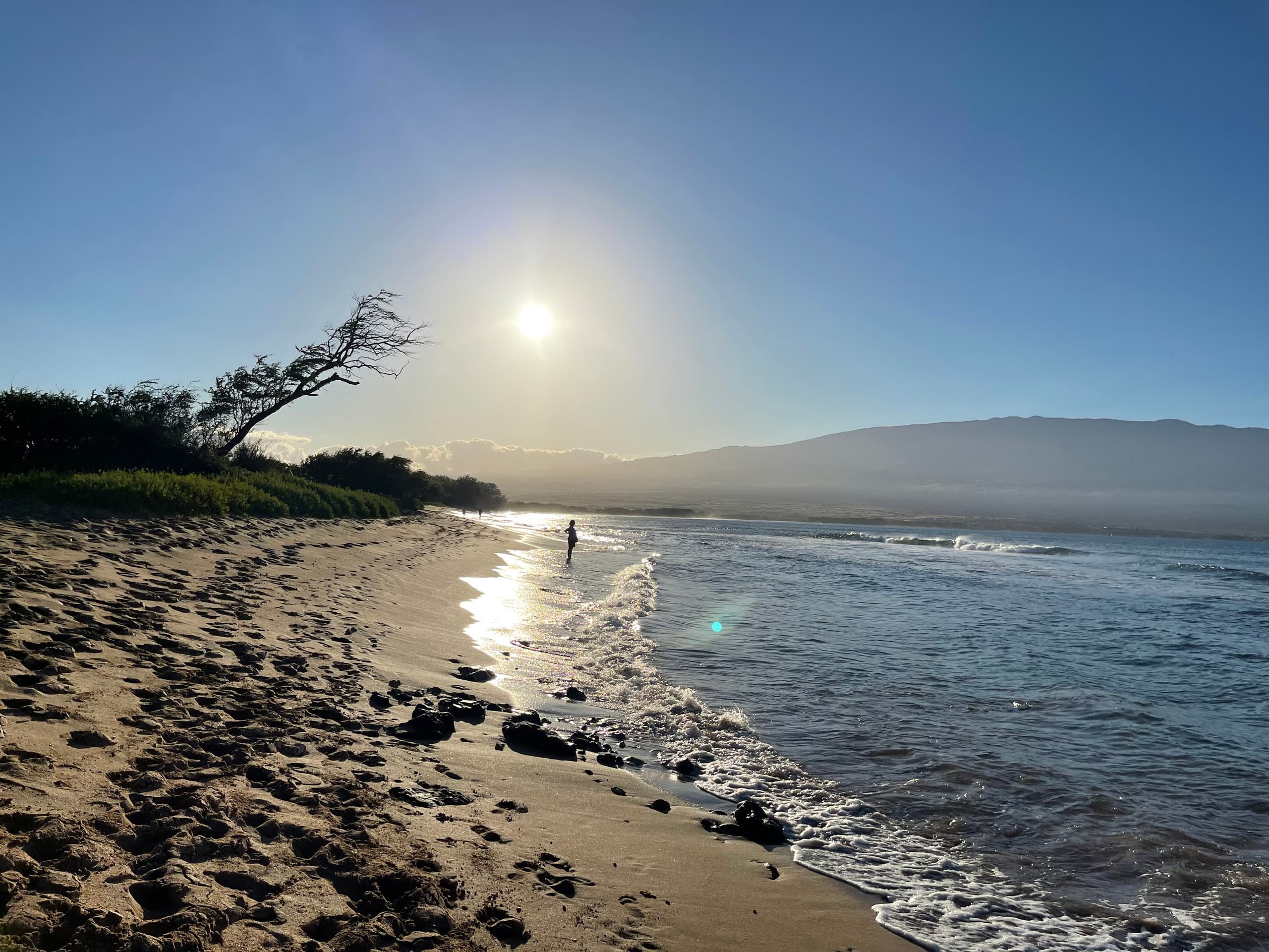 Condo in Maalaea · ★4.95 · 1 bedroom · 2 beds · 1 bath - Image 73
