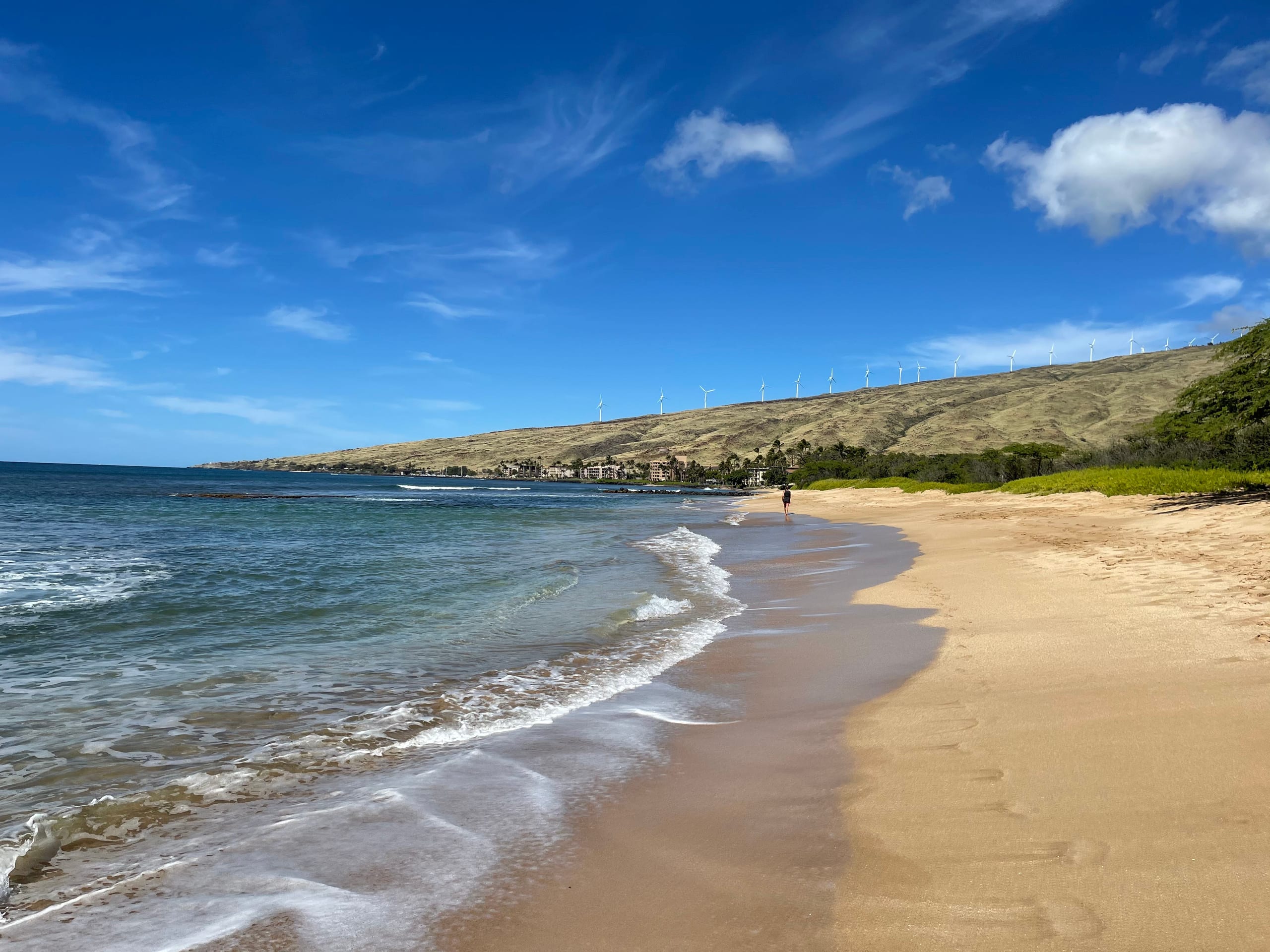 Condo in Maalaea · ★4.95 · 1 bedroom · 2 beds · 1 bath - Image 70