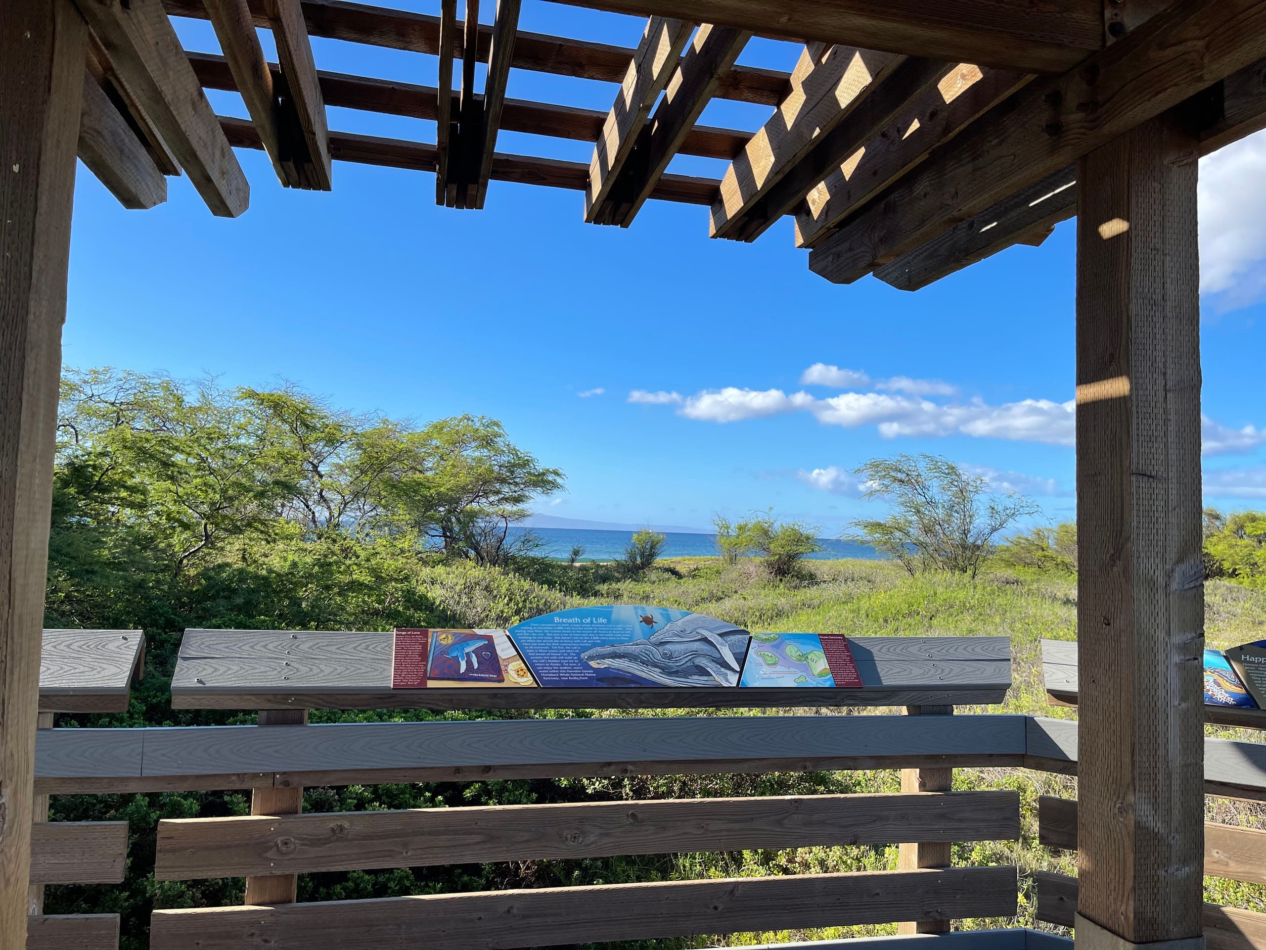 Condo in Maalaea · ★4.95 · 1 bedroom · 2 beds · 1 bath - Image 66