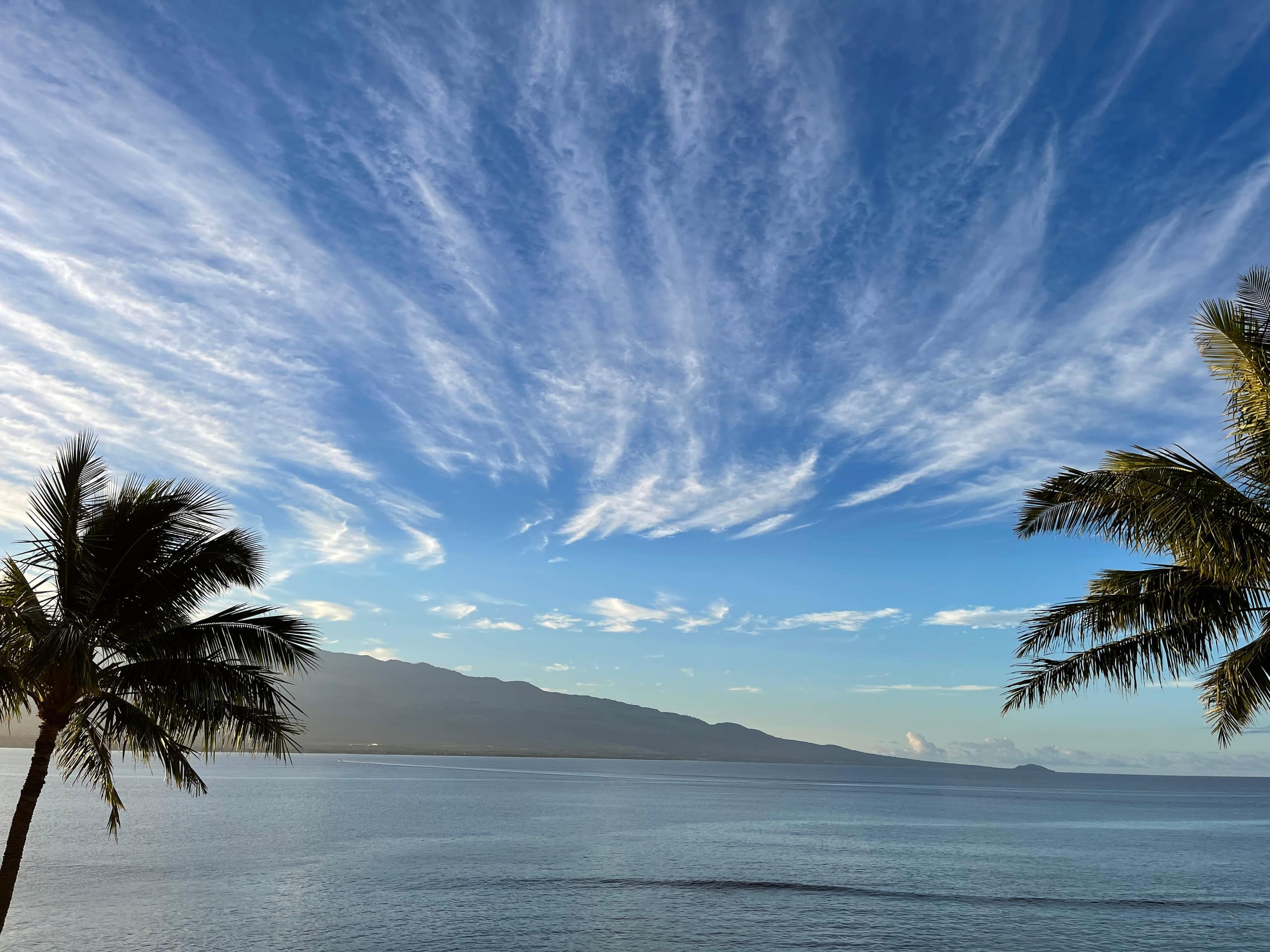 Condo in Maalaea · ★4.95 · 1 bedroom · 2 beds · 1 bath - Image 71