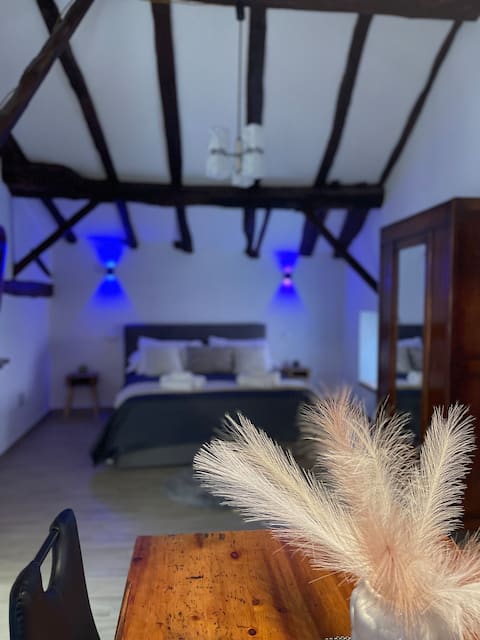 Mira's house