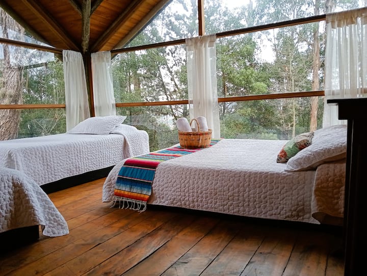 Habitación Batará ina madirisha makubwa ya Bosque Nativo en Restauración. Kitanda cha watu wawili na vitanda viwili vya mtu mmoja, mapambo ya nguo ambayo yanakualika upumzike, wakati mwanga wa asili unabadilisha sehemu kuwa mapumziko yenye joto na utulivu.