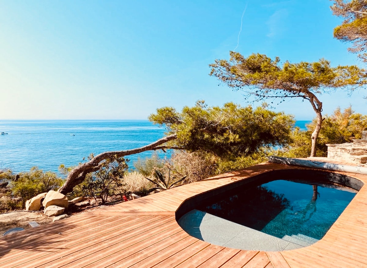 A heated pool is surrounded by wooden decking, offering views of the calm sea. Lush greenery provides a natural frame, with a single tree leaning gracefully towards the water. The clear blue sky complements the serene landscape.