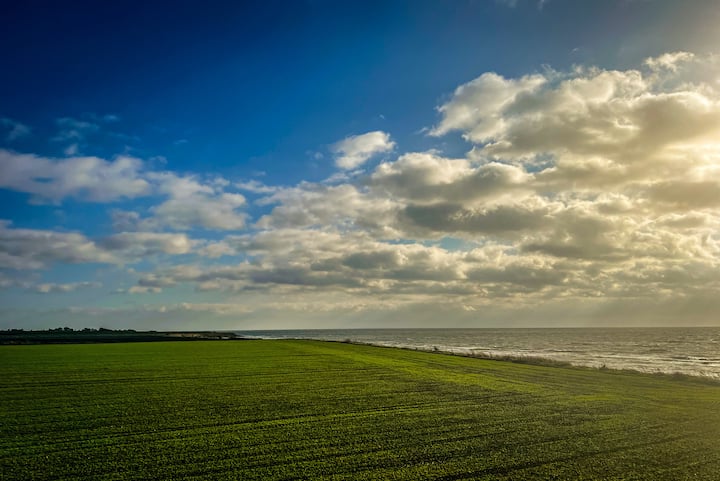 Wonderful Flat / 40 M. From The Sea - Fehmarn