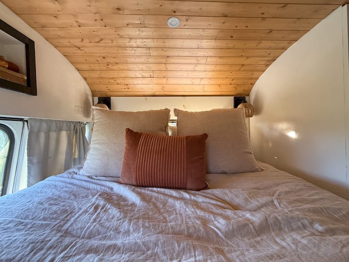 Fully Converted School Bus With Stargazing Rooftop - Virginia