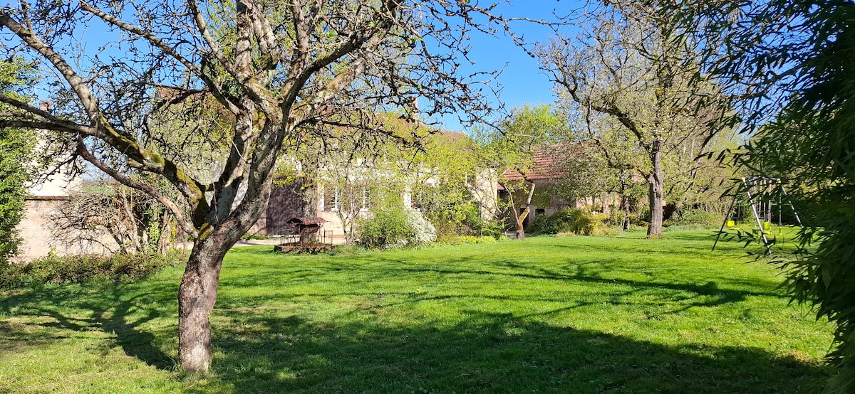 A spacious garden is presented, featuring several trees with abundant foliage. A lush green lawn stretches across the area, complemented by a wooden bench nestled among the natural surroundings. Sunlight illuminates the scene, enhancing the natural beauty of the outdoor space.