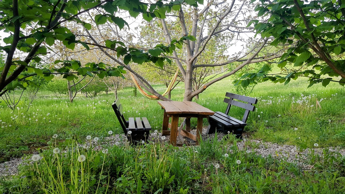 A rustic wooden table and two chairs are surrounded by lush greenery and wildflowers. A hammock is draped nearby among trees, creating a serene spot for relaxation. The area features dandelions and natural grass, enhancing the peaceful outdoor setting.