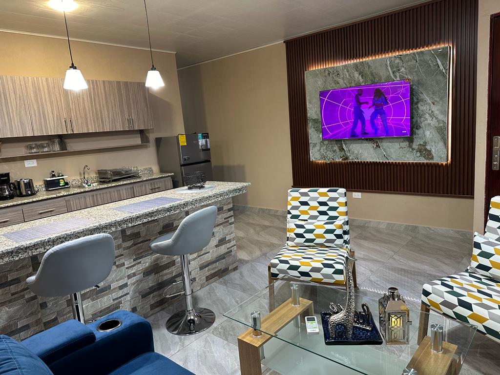 A modern living space features a granite-topped kitchen bar with sleek bar stools. A large TV is mounted on the wall, displaying vibrant imagery. Two patterned chairs provide seating, and a glass coffee table holds decorative items, enhancing the functionality of the space.
